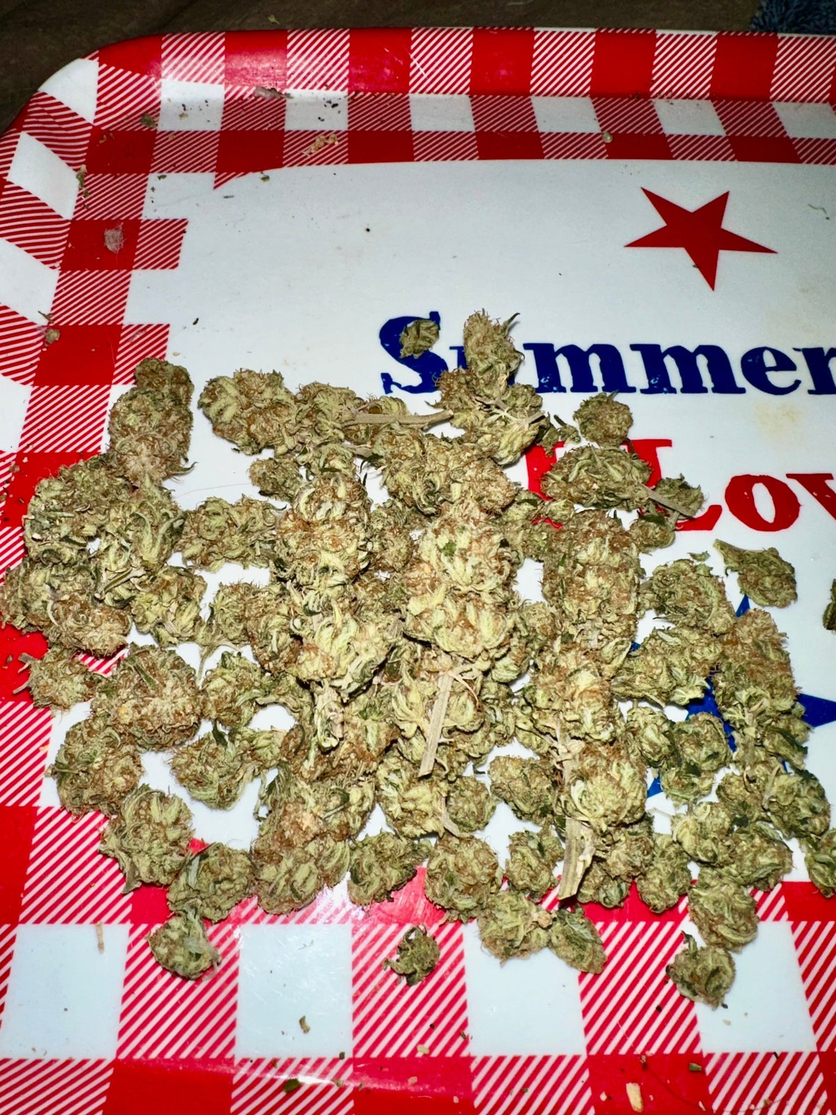 CripXmas A2 F4 S1 (Tampa Crippy x Xmas Bud 79' x PTK x NL#2) $15 each during review month - DMOSG