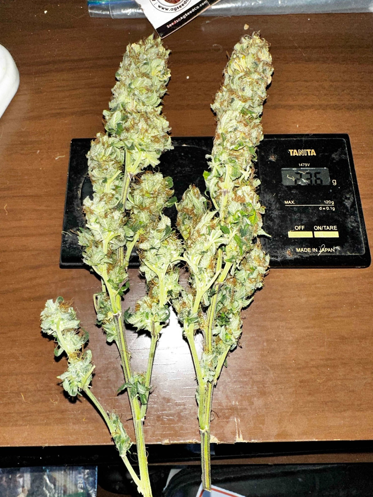 CripXmas B F4 1 reg seed(very limited availability until more are done) $20 each reg seed during review month. - DMOSG