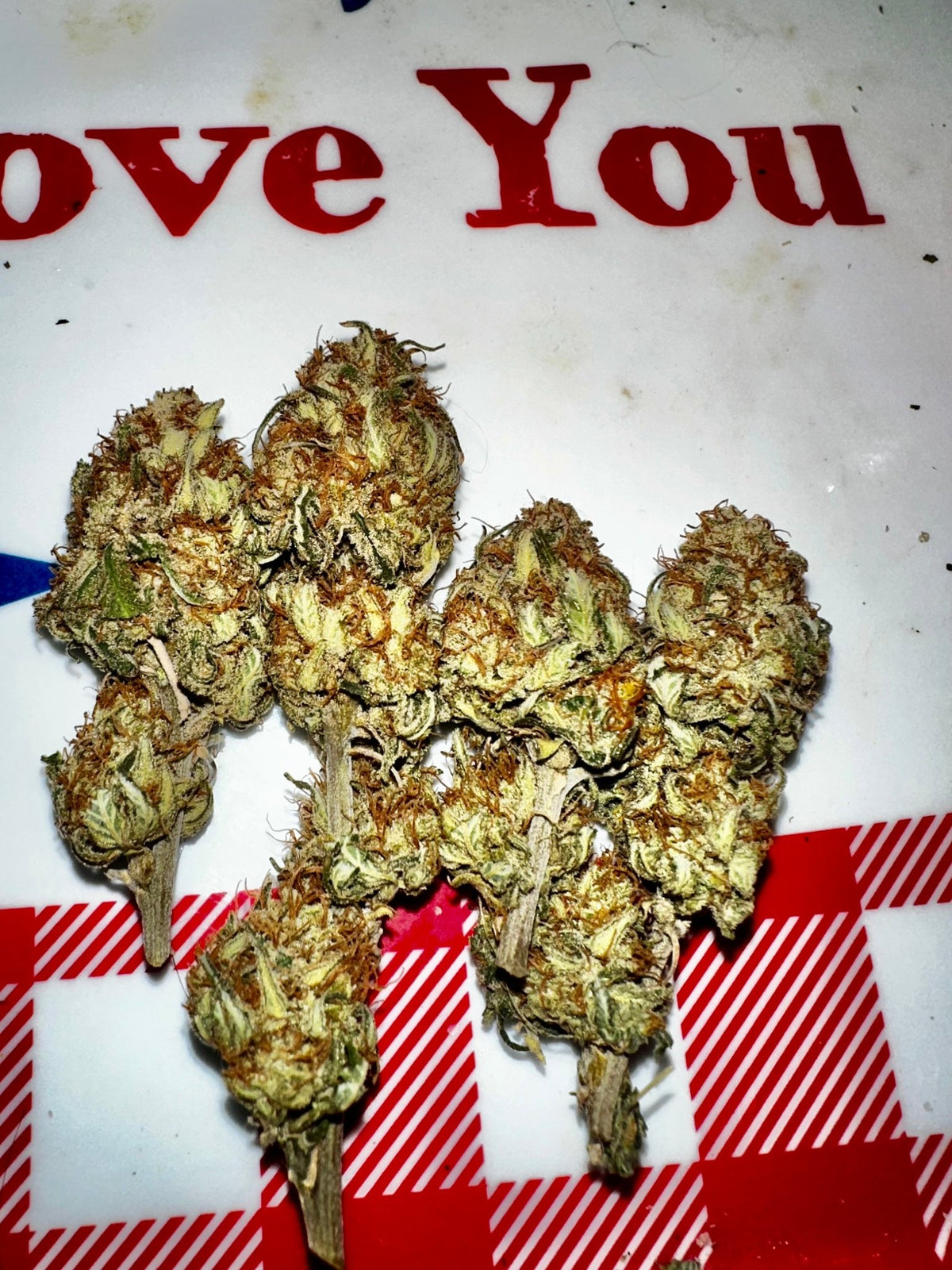 CripXmas A2 F4 S1 (Tampa Crippy x Xmas Bud 79' x PTK x NL#2) $15 each during review month - DMOSG